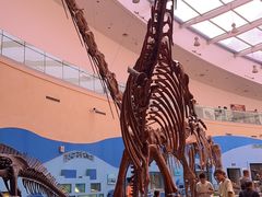 -陕西自然博物馆