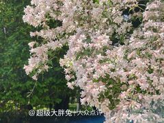 -济南植物园