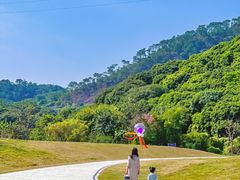 -风云岭森林公园