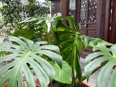 -月栖华明-云间草堂清茶馆(泗泾古镇店)