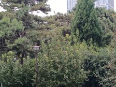 -元大都城垣遗址公园