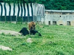 -西安秦岭野生动物园