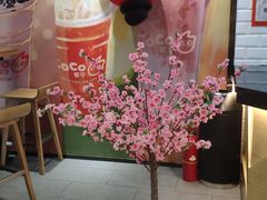 -CoCo都可(合生汇店)