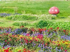 -苏州太湖西山岛开心农场