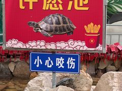 -西霞口神雕山野生动物世界