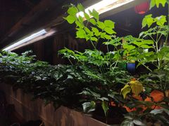 -望京一号·重庆江湖菜(工体店)