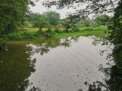 -桤木河湿地公园