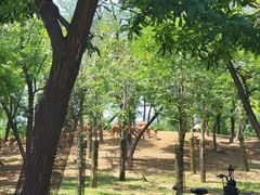 -秦皇岛野生动物园