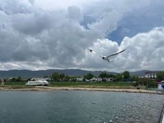 -青海湖国家重点风景名胜区