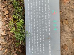 -雨花胜境