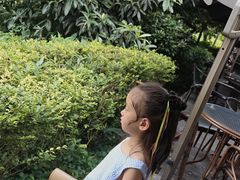 -恩阳古镇