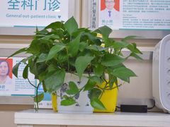 -广州仁爱天河医院体检中心
