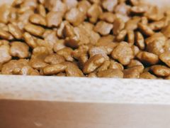 -PETKIT小佩宠物(古北店)