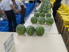 -西郊国际农产品交易中心