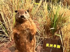 -陕西自然博物馆