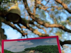 -普陀山风景区-佛顶山