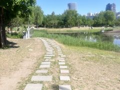 -群力丁香公园
