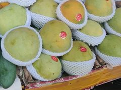 -三亚新鸿港水果一级批发市场
