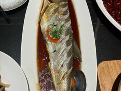 -蜀国演义(黄寺大街店)