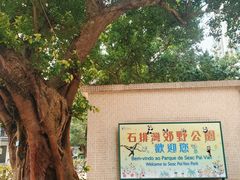 -石排湾郊野公园