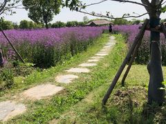 -上海杨姆庄园