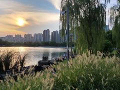 -南翔镇银翔湖公园