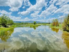-野鸭湖国家湿地公园