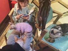 -猫色咖啡·猫咖
