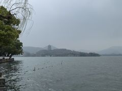 -杭州西湖柳莺里酒店