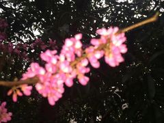 -福建师范大学(仓山校区)