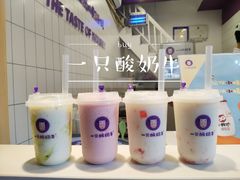 -一只酸奶牛(八一路店)
