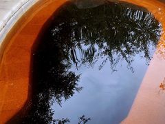 -大连金石滩绿发温泉假日酒店