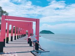 -漳州滨海火山岛自然生态风景区