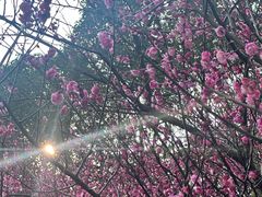 -成都杜甫草堂博物馆