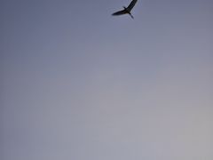 -福州海峡文化艺术中心