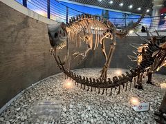 -国家自然博物馆