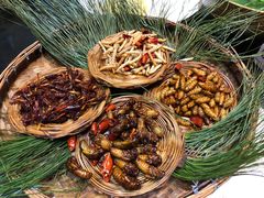 -昆虫窝子·特色云南菜(拓东路总店)
