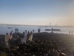 -星海湾跨海大桥