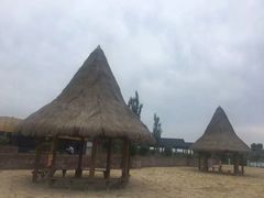 -哈素海