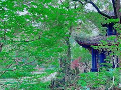 -桂湖森林公园