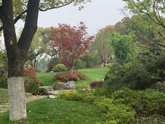 -长田漾湿地公园