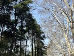 -雨花台烈士纪念馆