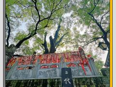 -大槐树寻根祭祖园