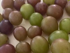 -马陆小张葡萄园农家乐