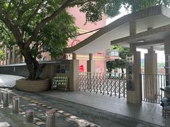 -长洲岛