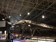 -世界恐龙谷景区