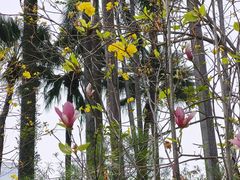 -烈士陵园(地铁站)