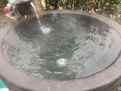 -仁爱团泊湖温泉中心