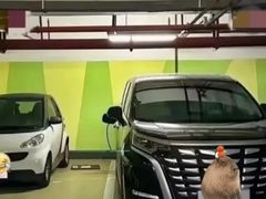 -淞虹路P+R停车场