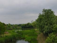 -贡湖湾湿地公园